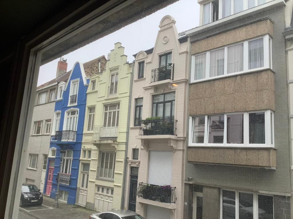 Thout Dichtbij Zee Oostende
